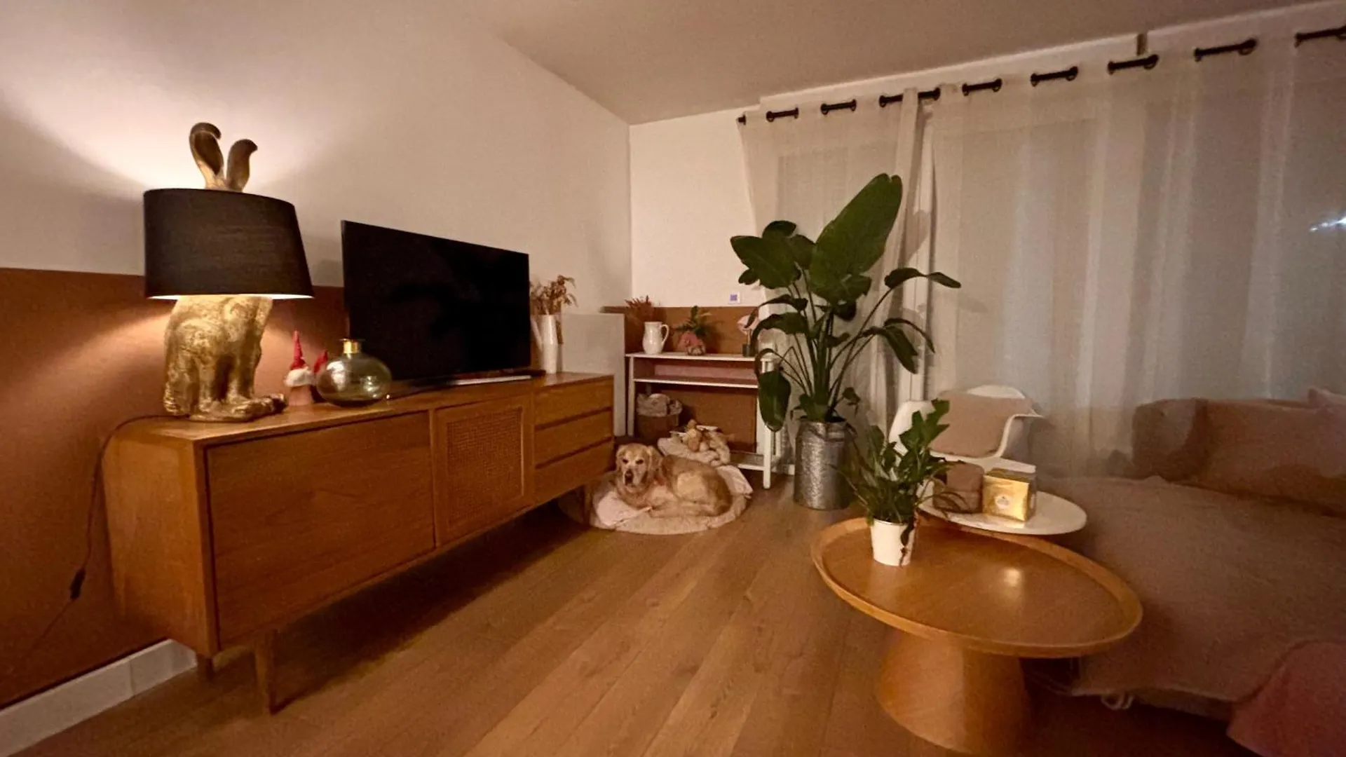 Chambre Chaleureuse Et Cosy Lille 0*,